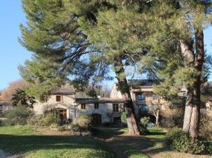 THE RURAL GITE OF BERGNES, in the shade of the large maritime pines with swimming pool
