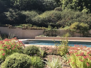 A Private Hillside Retreat with Pool in Wine Country **New Listing