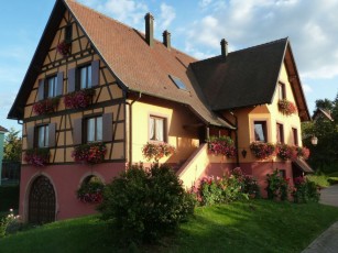 The Chestnut. Traditional house Alsace. View of the vineyard and St Odile